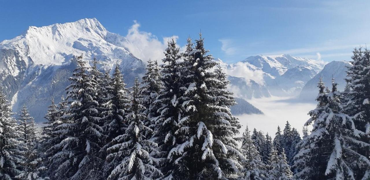 Les Glieres - Champagny-En-Vanoise La Plagne Exterior foto